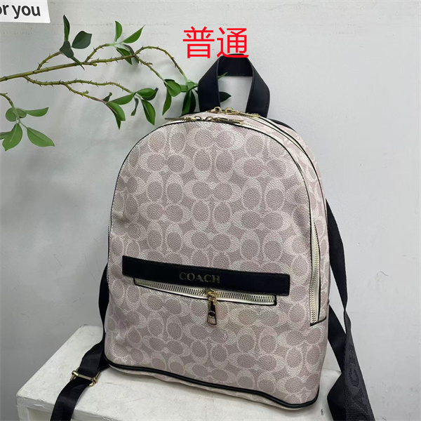 Coach small bag-1725