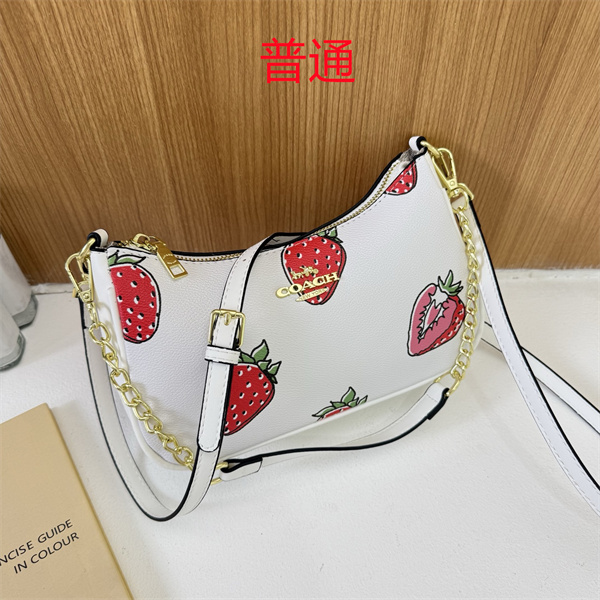 Coach small bag-1739