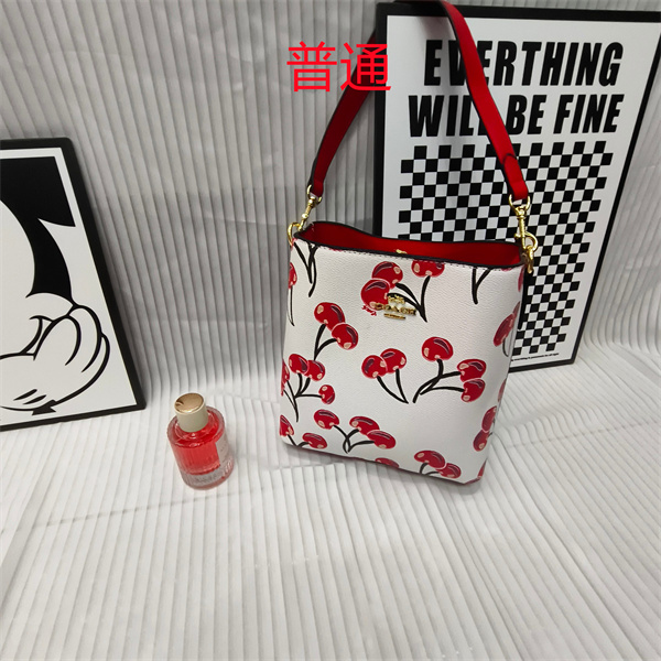 Coach small bag-1770