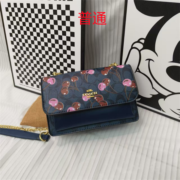 Coach small bag-1778