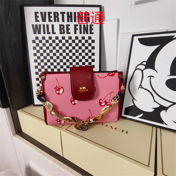 Coach small bag-1782