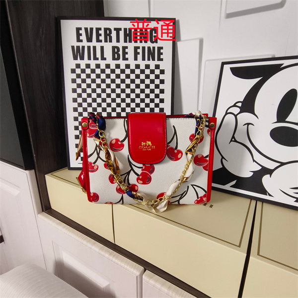 Coach small bag-1788