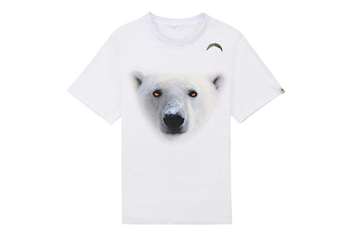 NFL T-shirt-M(10)-116