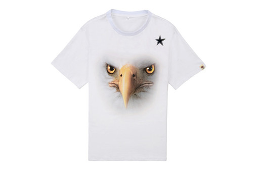 NFL T-shirt-M(10)-123