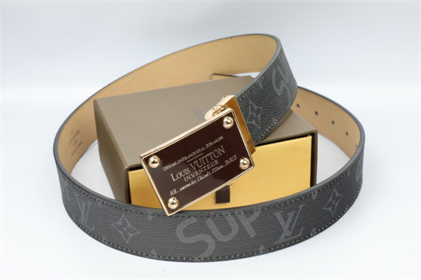Lv-belt-0202