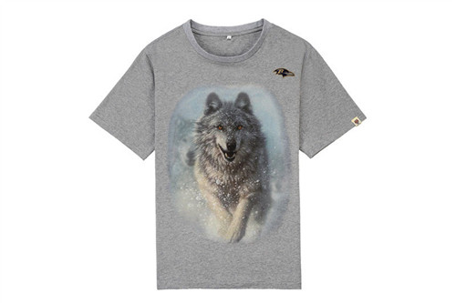 NFL T-shirt-M(10)-343