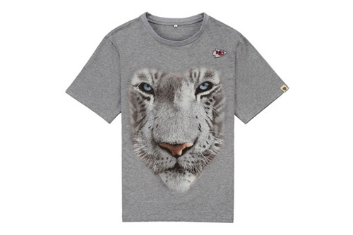 NFL T-shirt-M(10)-344