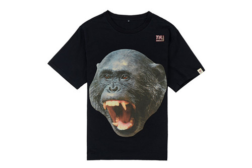 NFL T-shirt-M(10)-172