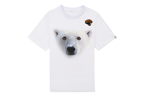 NFL T-shirt-M(10)-181