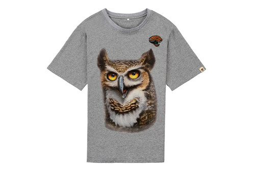 NFL T-shirt-M(10)-191