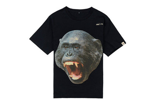 NFL T-shirt-M(10)-203