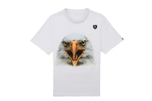 NFL T-shirt-M(10)-214