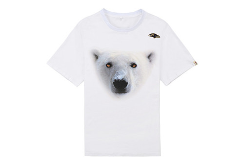 NFL T-shirt-M(10)-236