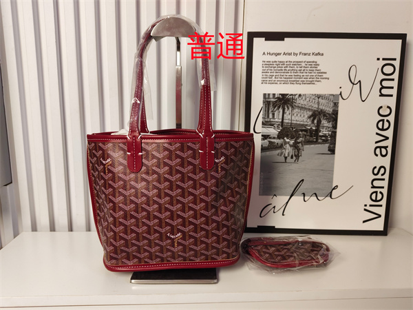 Goyard bag-0038