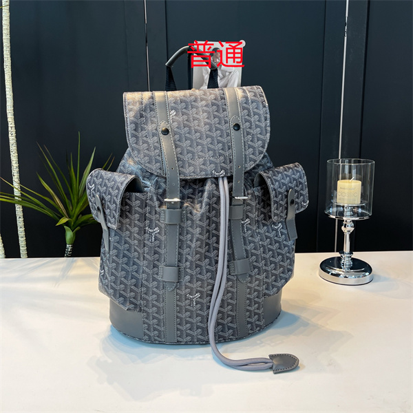 Goyard bag-0051