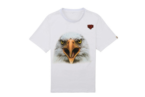 NFL T-shirt-M(10)-252