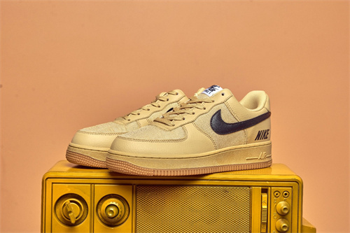 AF1 Low-W-313
