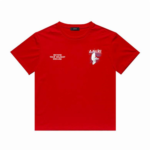 Amiri Round neck T-shirt-M(1)-0767