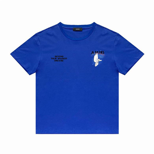 Amiri Round neck T-shirt-M(1)-0776