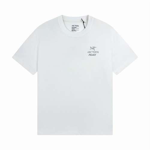Arcteryx Round neck T-shirt-M-014