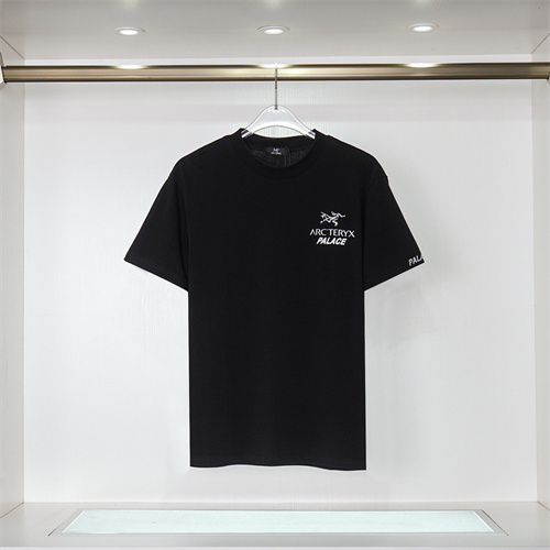 Arcteryx Round neck T-shirt-M-021