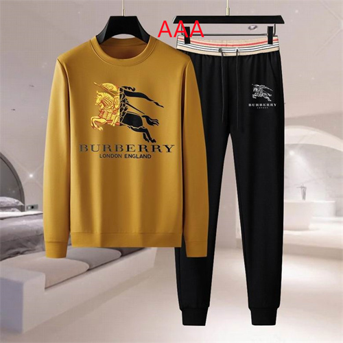 Buberry(AAA)suits-0048