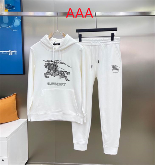 Buberry(AAA)suits-0373