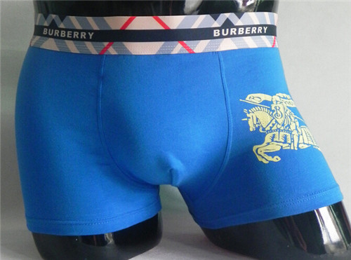 Burberry underwear-015