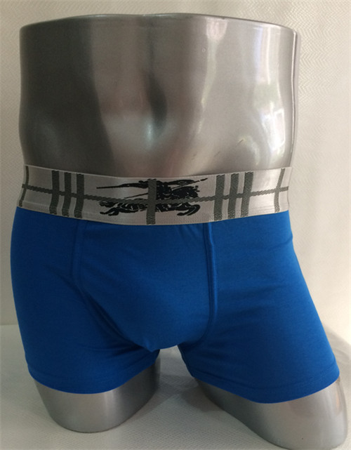 Burberry underwear-022
