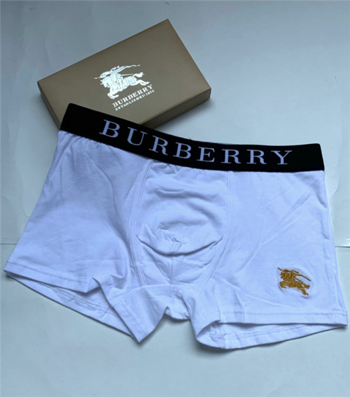 Burberry underwear-008
