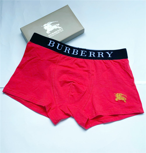Burberry underwear-009