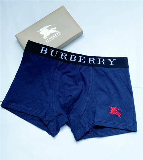 Burberry underwear-011