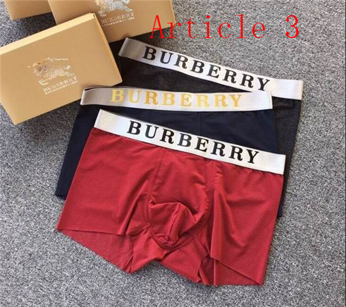 Burberry underwear-036