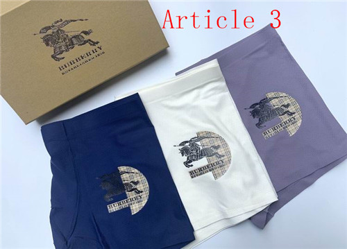Burberry underwear-053