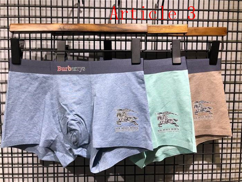Burberry underwear-063