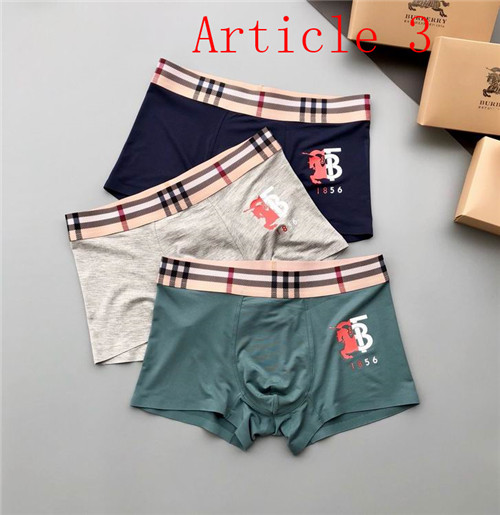 Burberry underwear-075