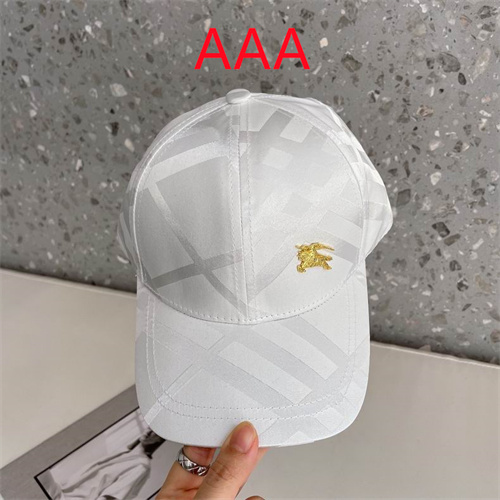 Burberry-Cap(AAA)-160