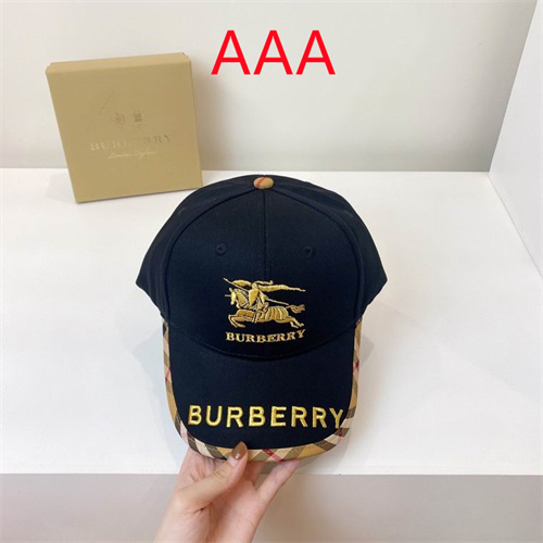 Burberry-Cap(AAA)-166
