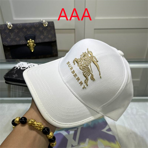Burberry-Cap(AAA)-197