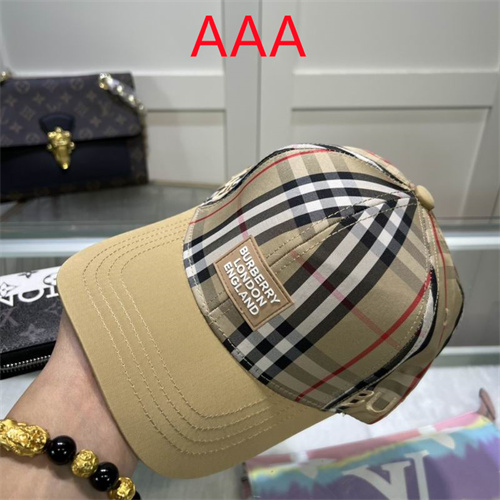 Burberry-Cap(AAA)-213