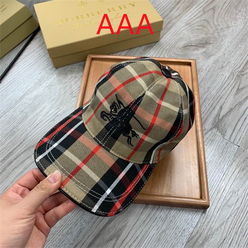 Burberry-Cap(AAA)-053