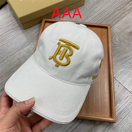 Burberry-Cap(AAA)-084