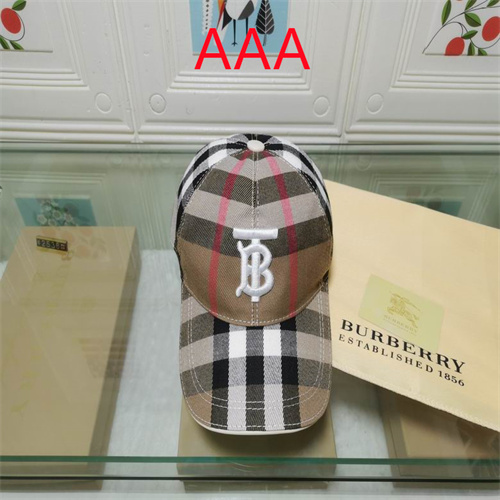 Burberry-Cap(AAA)-094