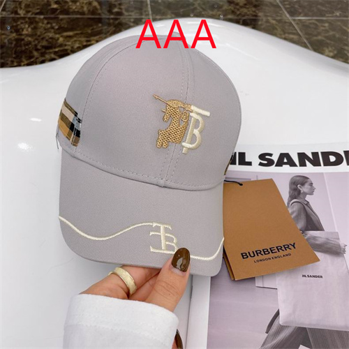Burberry-Cap(AAA)-097