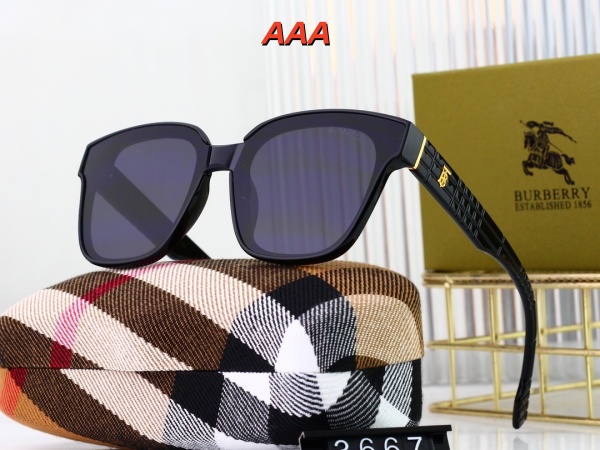 Burberry-Sunglass(AAA)-017