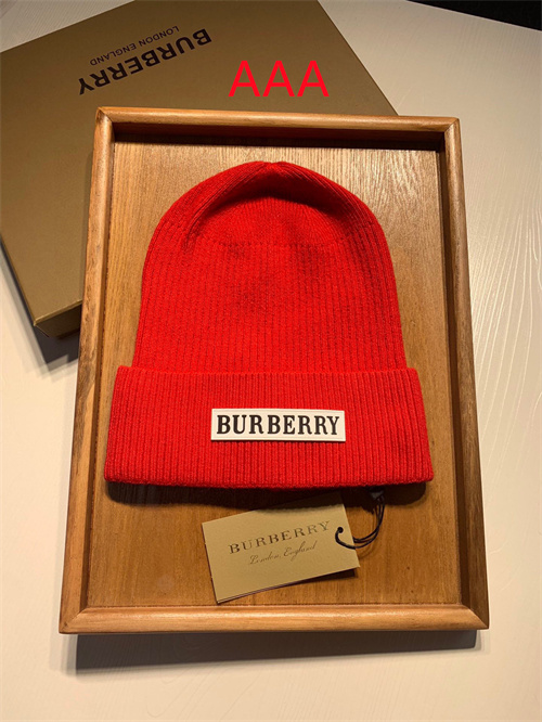 Buberry Beanies(AAA)-024