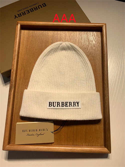 Buberry Beanies(AAA)-025