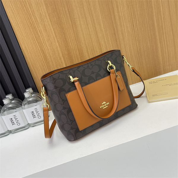 Coach bag-0102