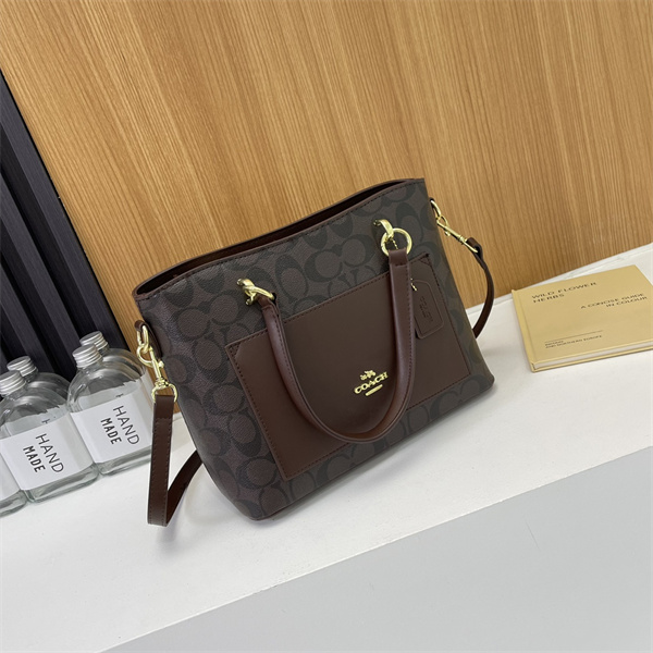 Coach bag-0103