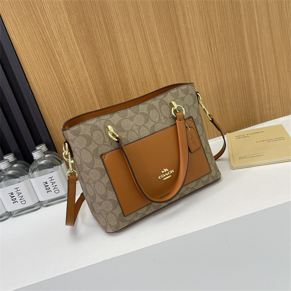Coach bag-0104